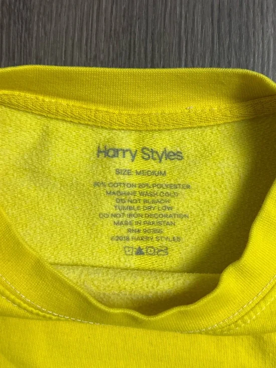 Harry Styles Kiwi I’m Having Your Baby Sweatshirt - Picture 5 of 5